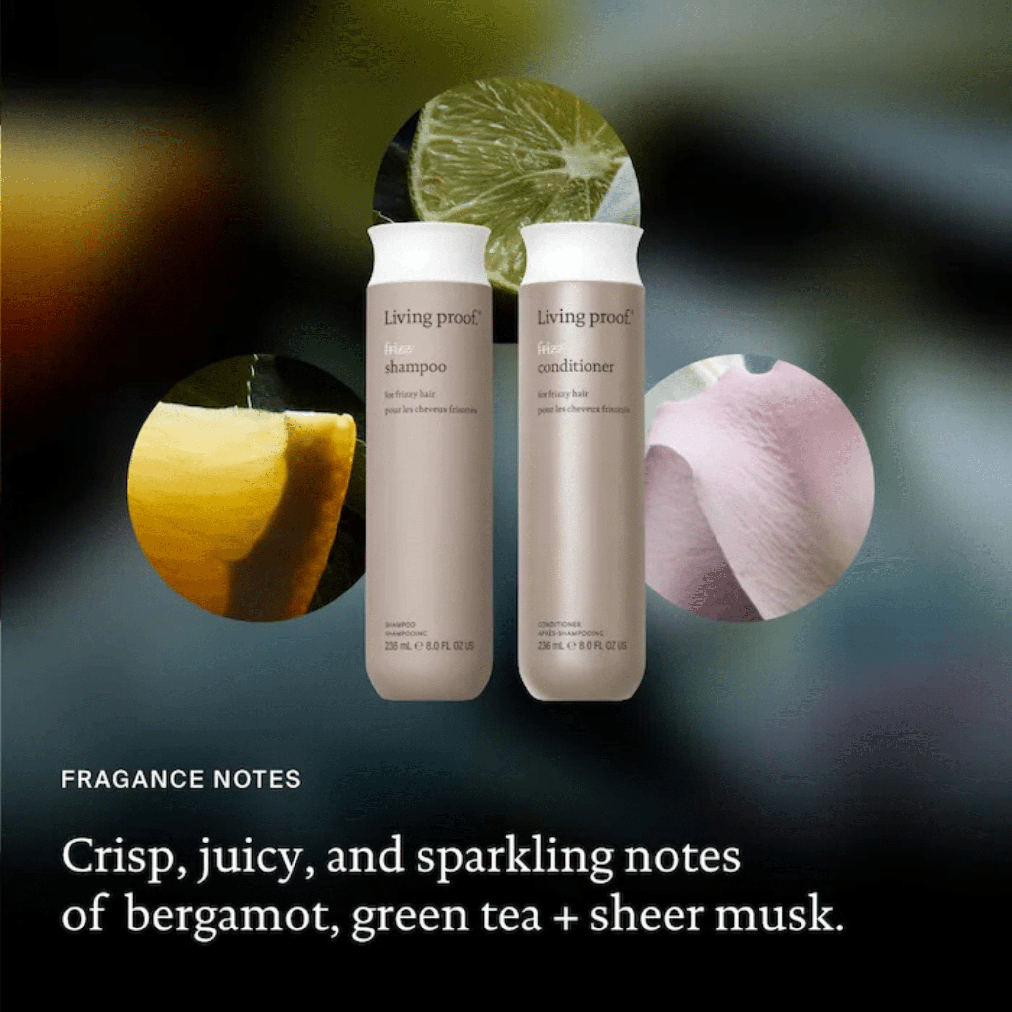 Living Proof. Shampoing No Frizz - 236 ml - Concept C. Shop