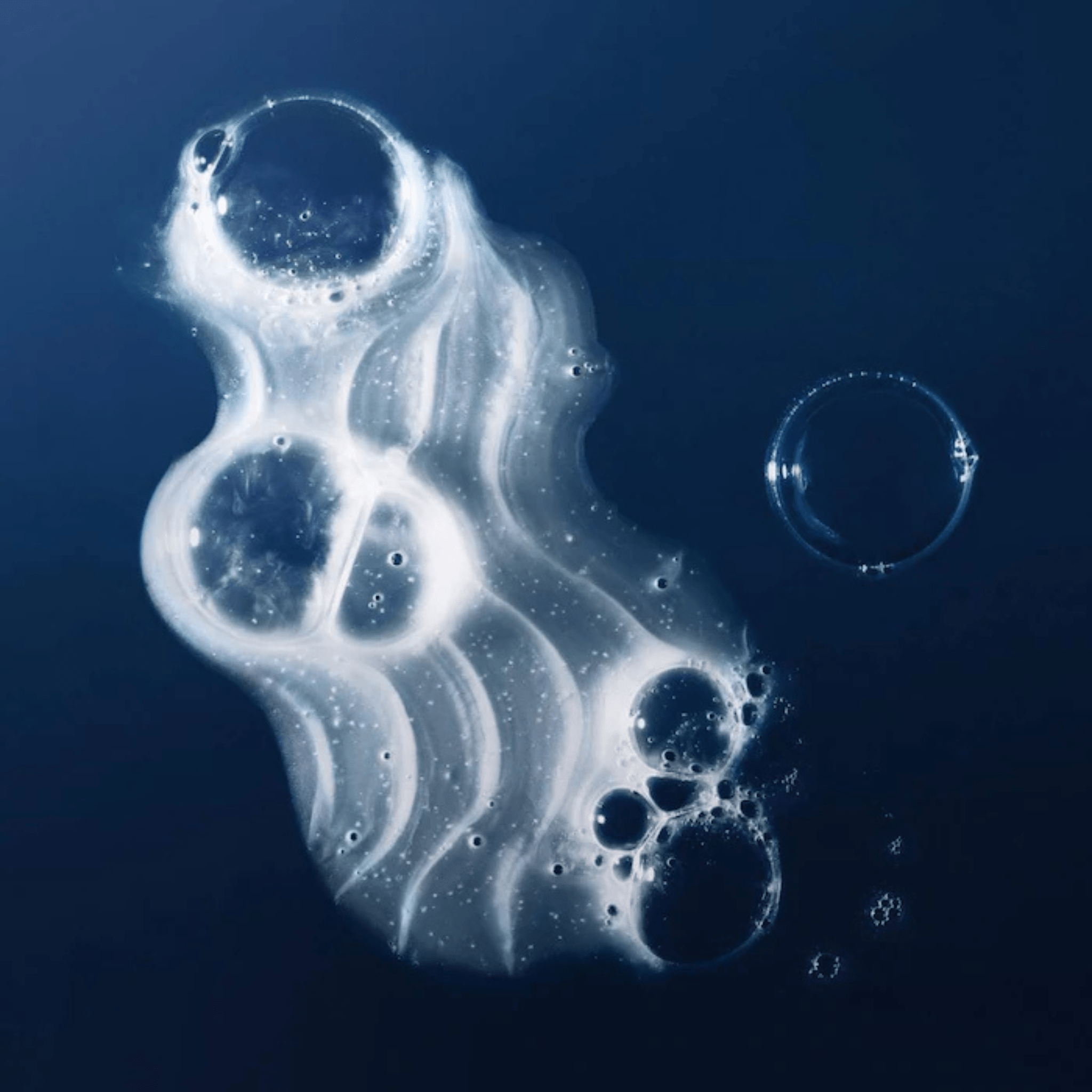 Living Proof. Shampoing No Frizz - 236 ml - Concept C. Shop