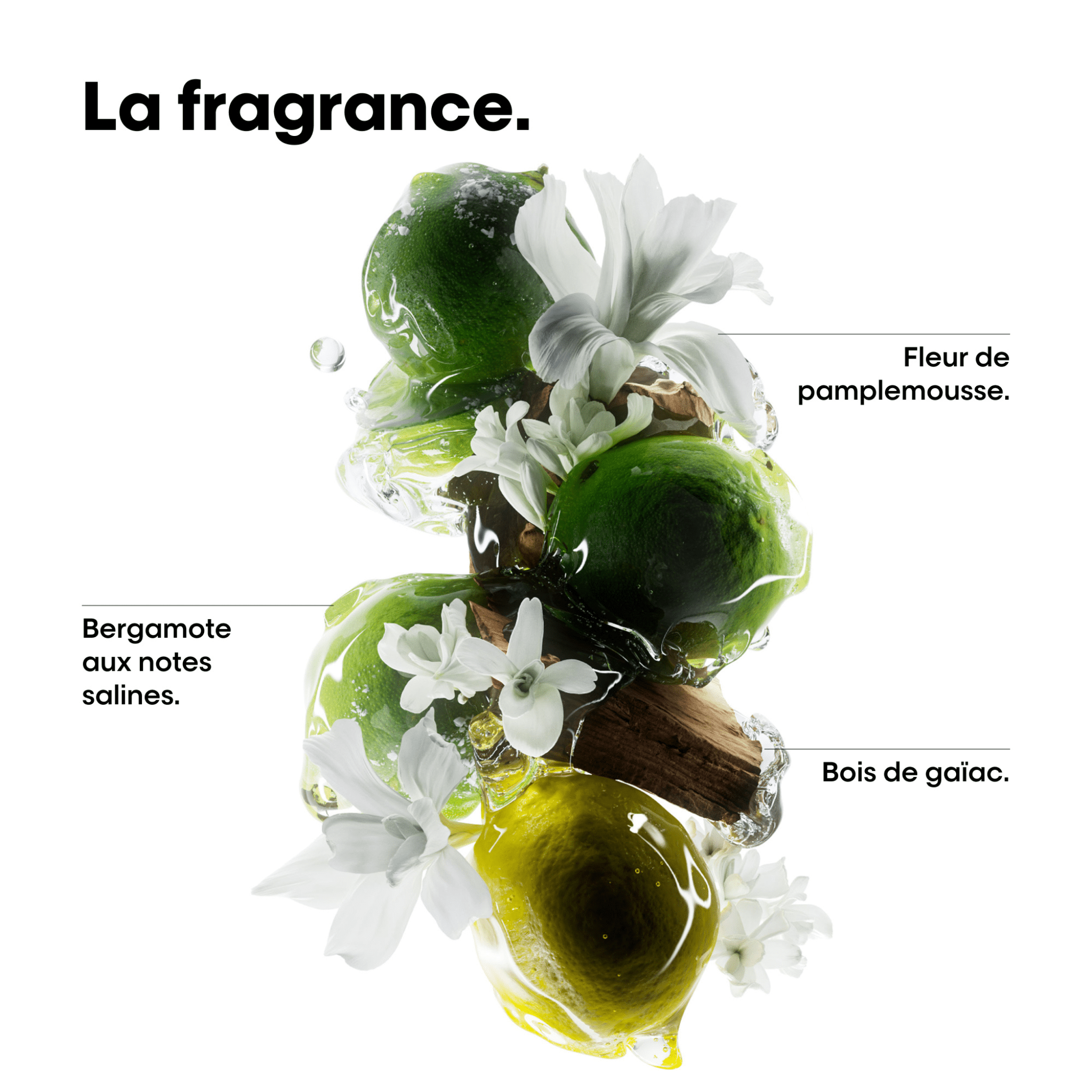 L'Oréal. Coffret Découverte - Duo Metal Detox - Concept C. Shop
