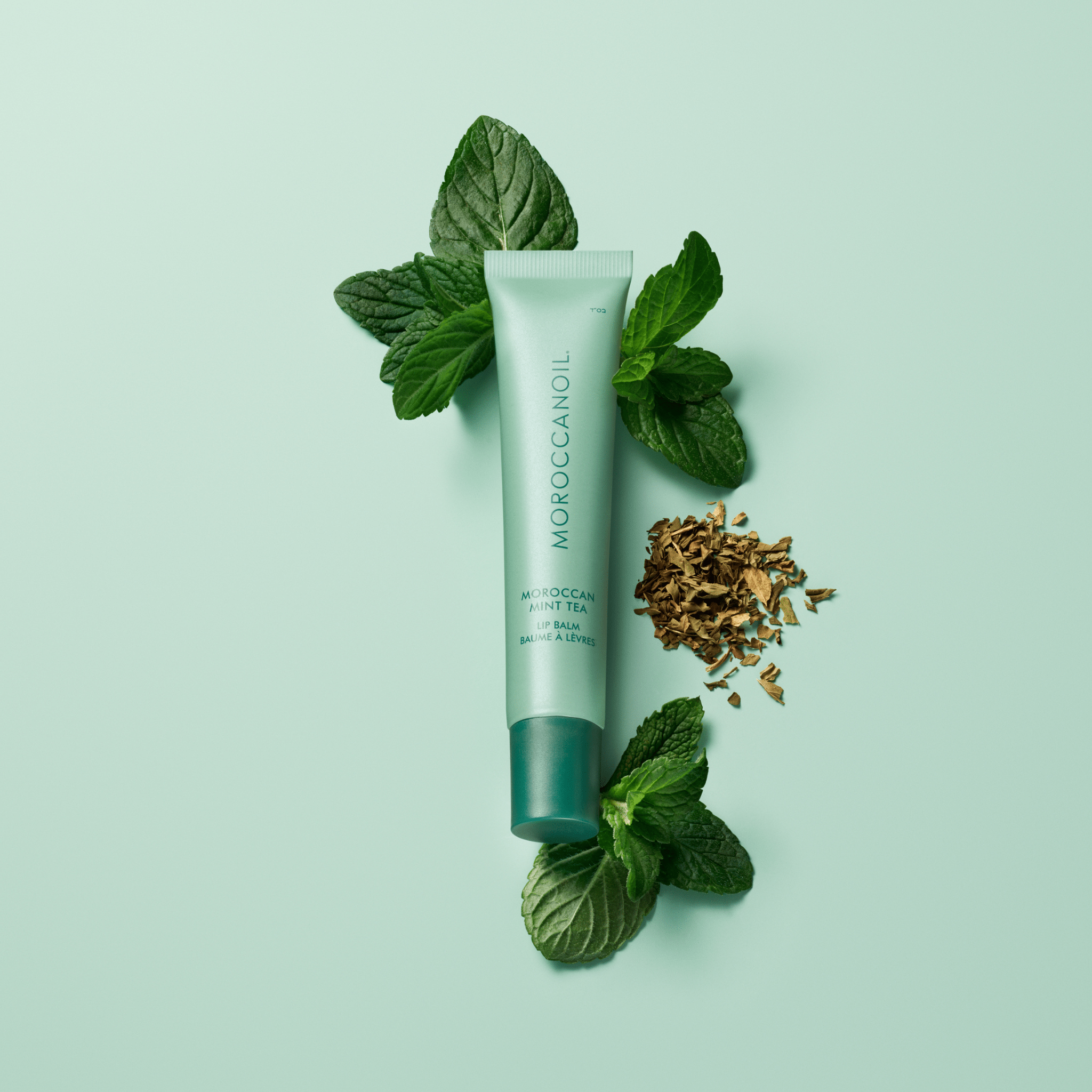 Moroccanoil. Baume À Lèvres - Thé à la Menthe Marocain - 15 g - Concept C. Shop