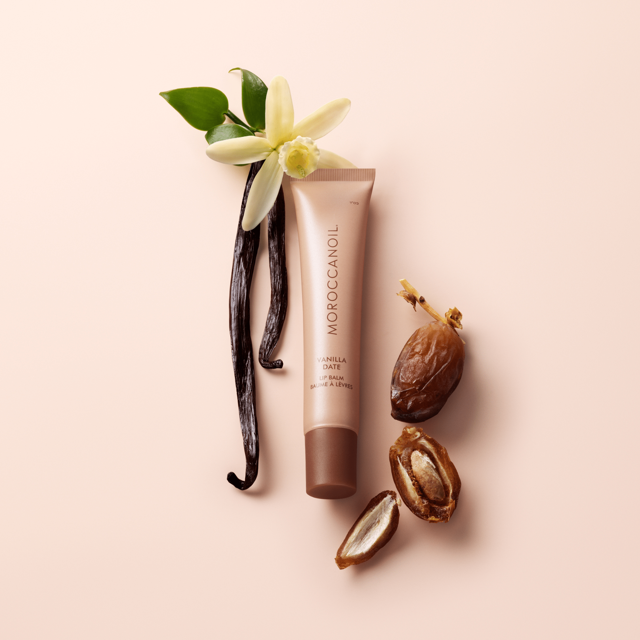 Moroccanoil. Baume à Lèvres - Vanille et Dattes - 15 g - Concept C. Shop