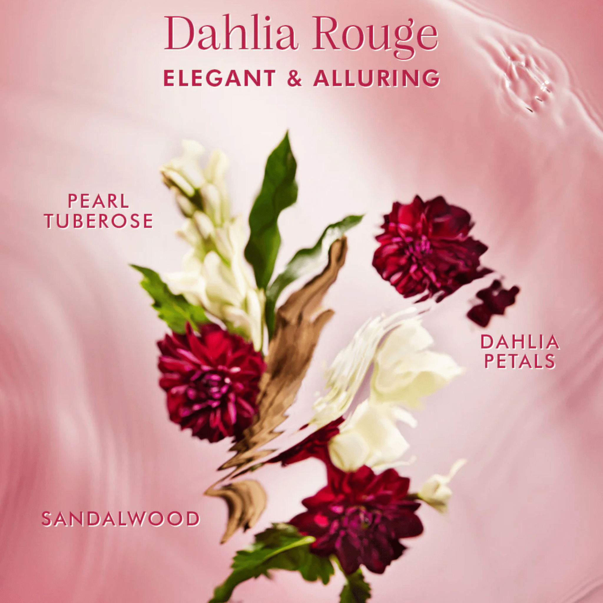 Moroccanoil. Brume Parfumée Cheveux et Corps Brumes du Maroc - Dahlia Rouge - 100 ml - Concept C. Shop