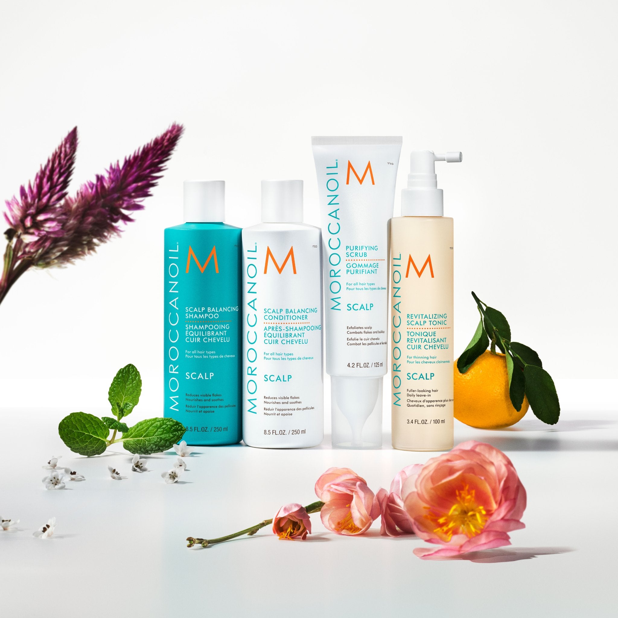 Moroccanoil. Shampoing Équilibrant Cuir Chevelu - 70 ml - Concept C. Shop