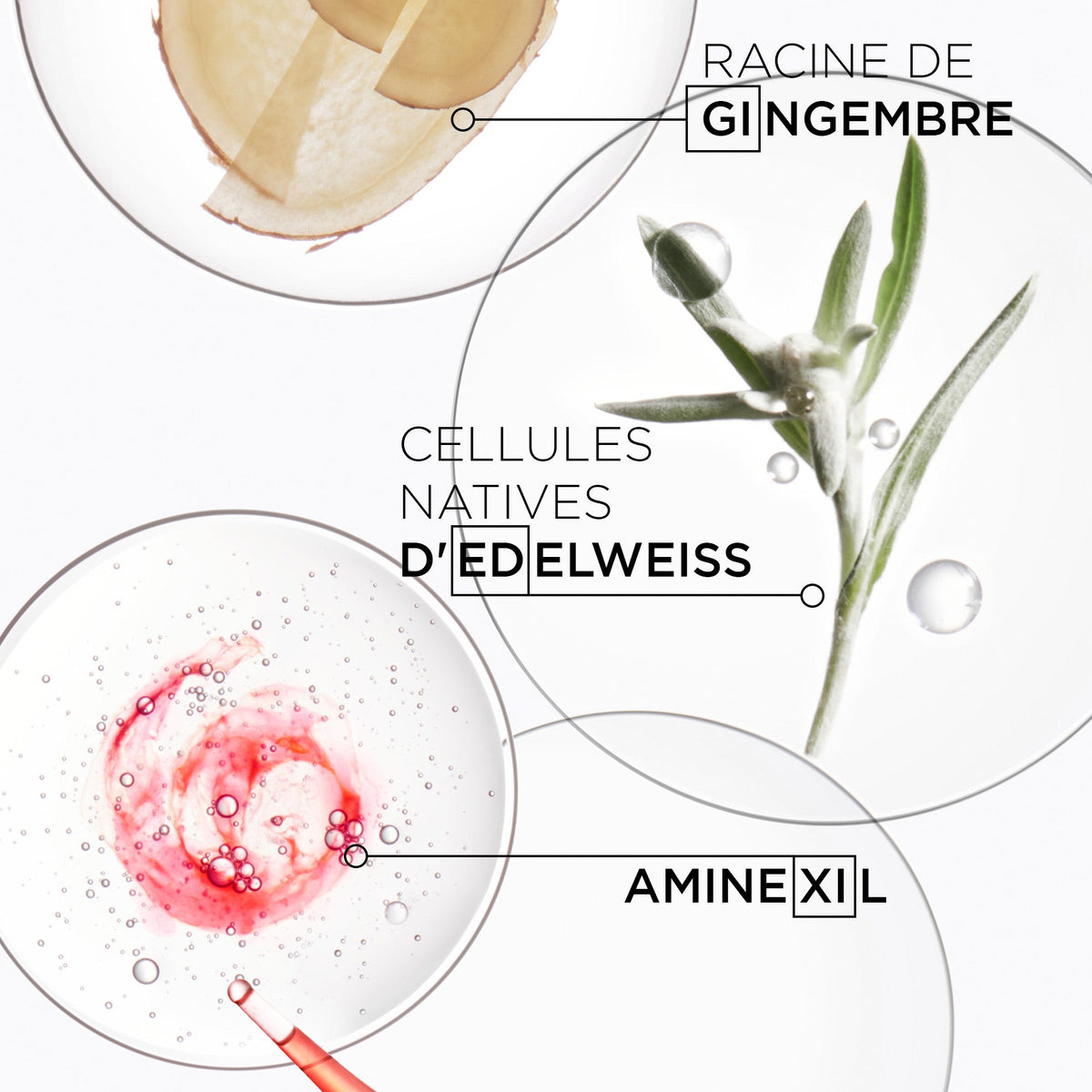 Prime Avec Achat - Kérastase. Genesis Revitalisant Fondant Renforçateur - 10 ml - Concept C. Shop