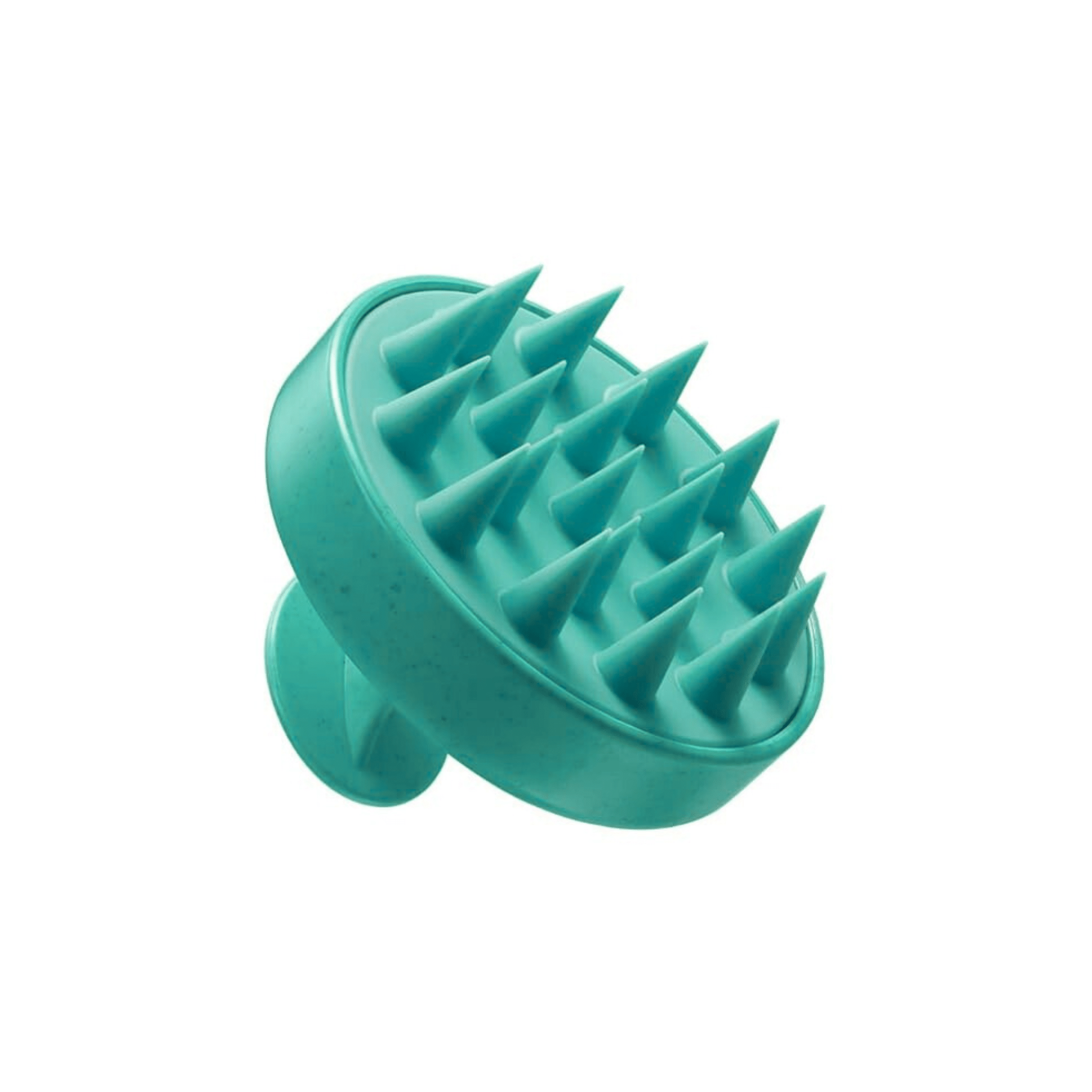 Prime avec Achat - Redken. Brosse Cuir Chevelu - Turquoise - Concept C. Shop