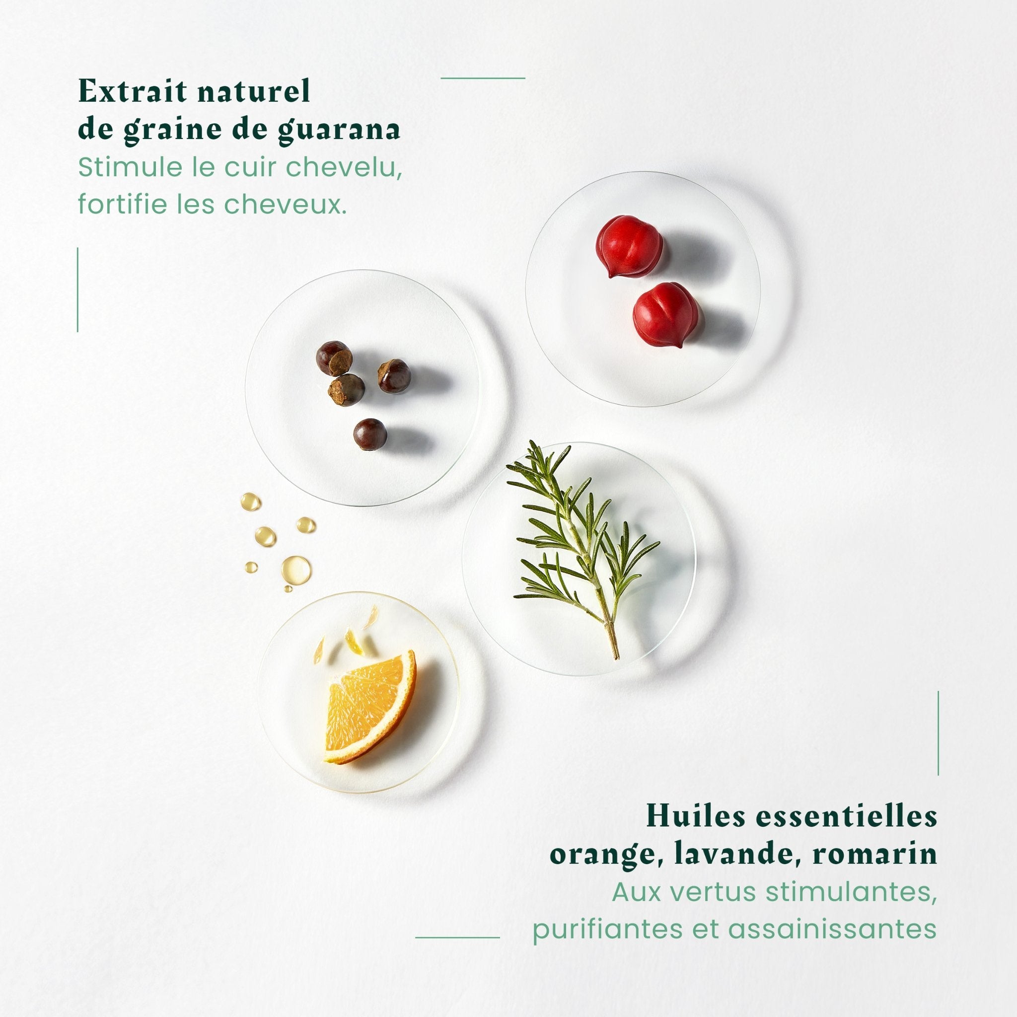 Prime avec Achat - René Furterer. Forticea Shampoing Énergisant Aux Huiles Essentielles - 15 ml - Concept C. Shop