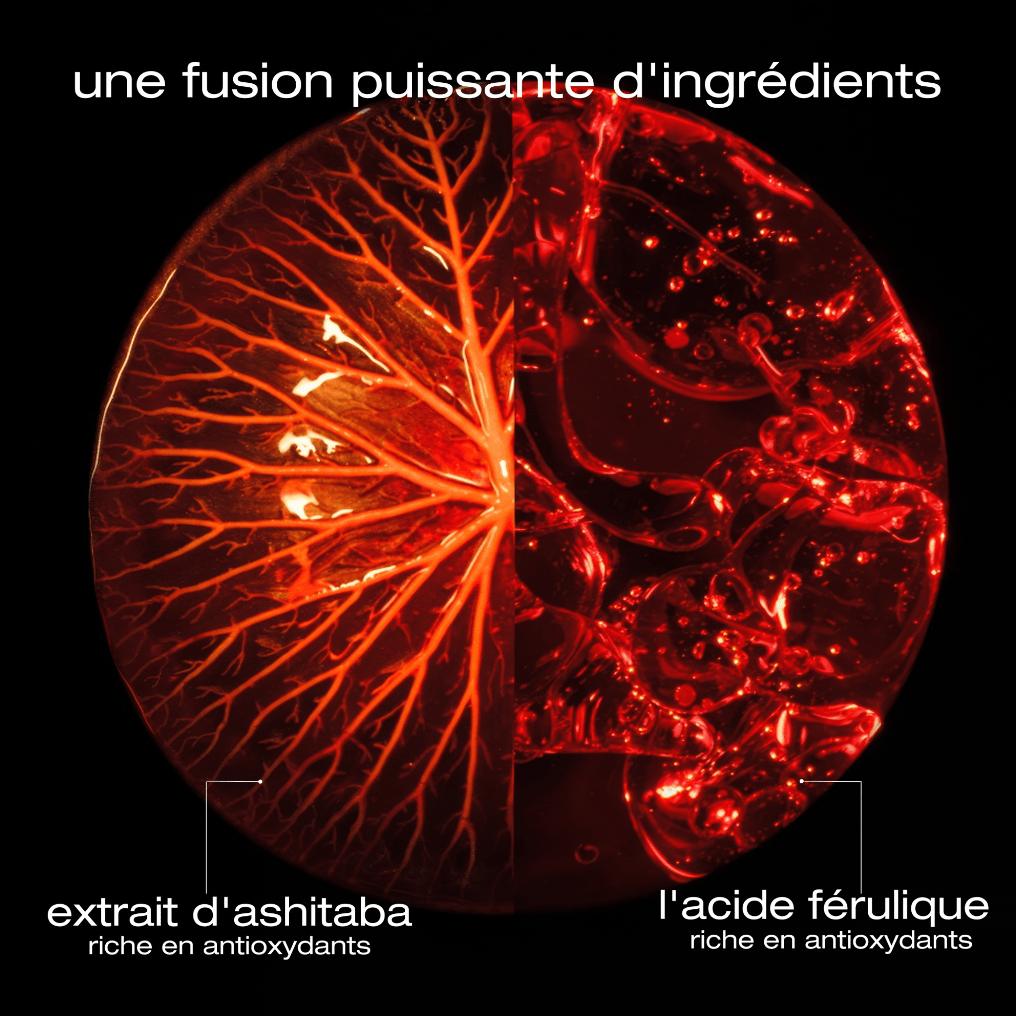 Prime Avec Achat - Shu Uemura. Sérum Revitalisation Intense Longueurs et Pointes Ashita Supreme - 15 ml - Concept C. Shop