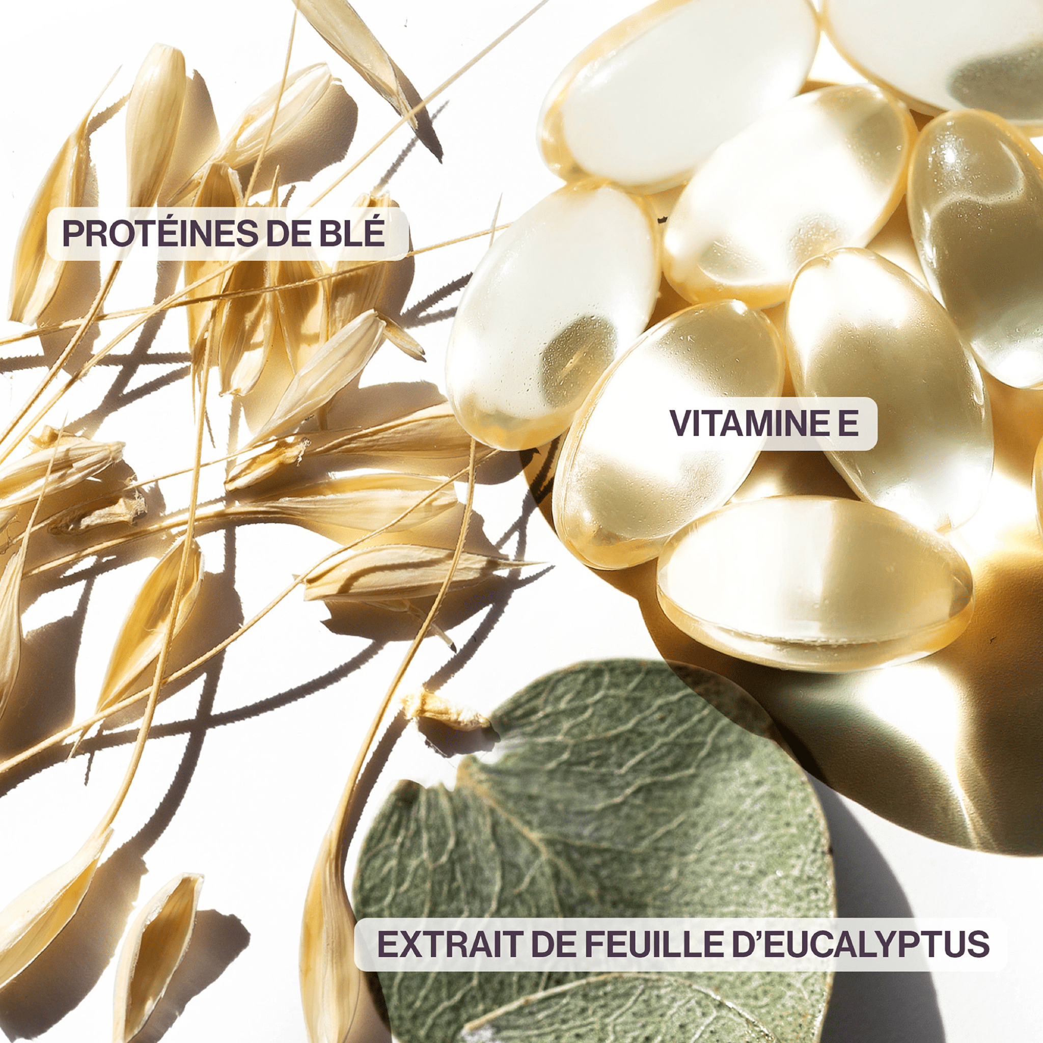Pureology. Coffret Des Fêtes - Hydrate Sheer - Concept C. Shop