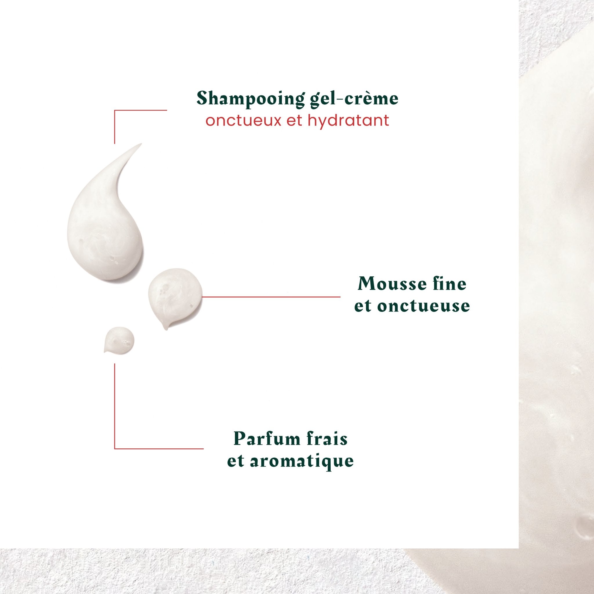 René Furterer. Neopur Shampoing Équilibrant Cuir Chevelu Sec - 250 ml - Concept C. Shop