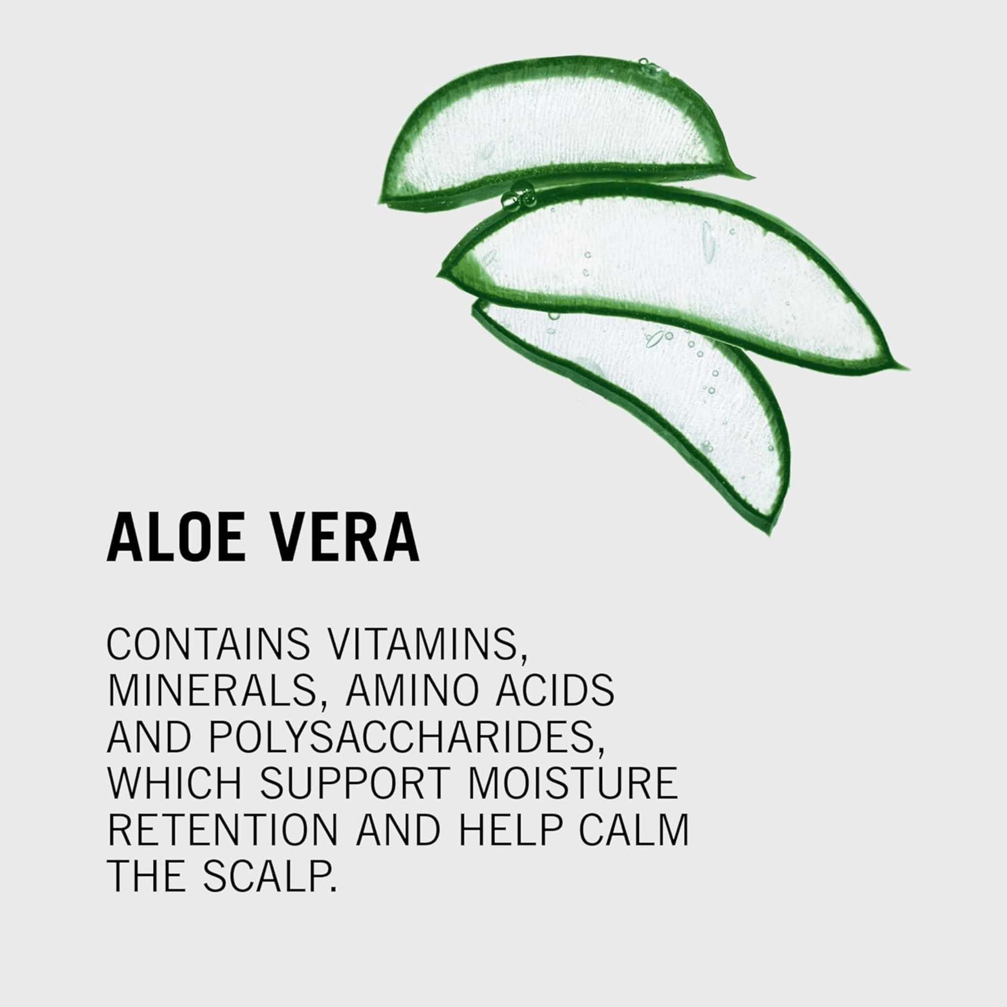 Schwarzkopf. Shampoing Aloe Vera Bonacure Moisture Kick - 1000 ml - Concept C. Shop