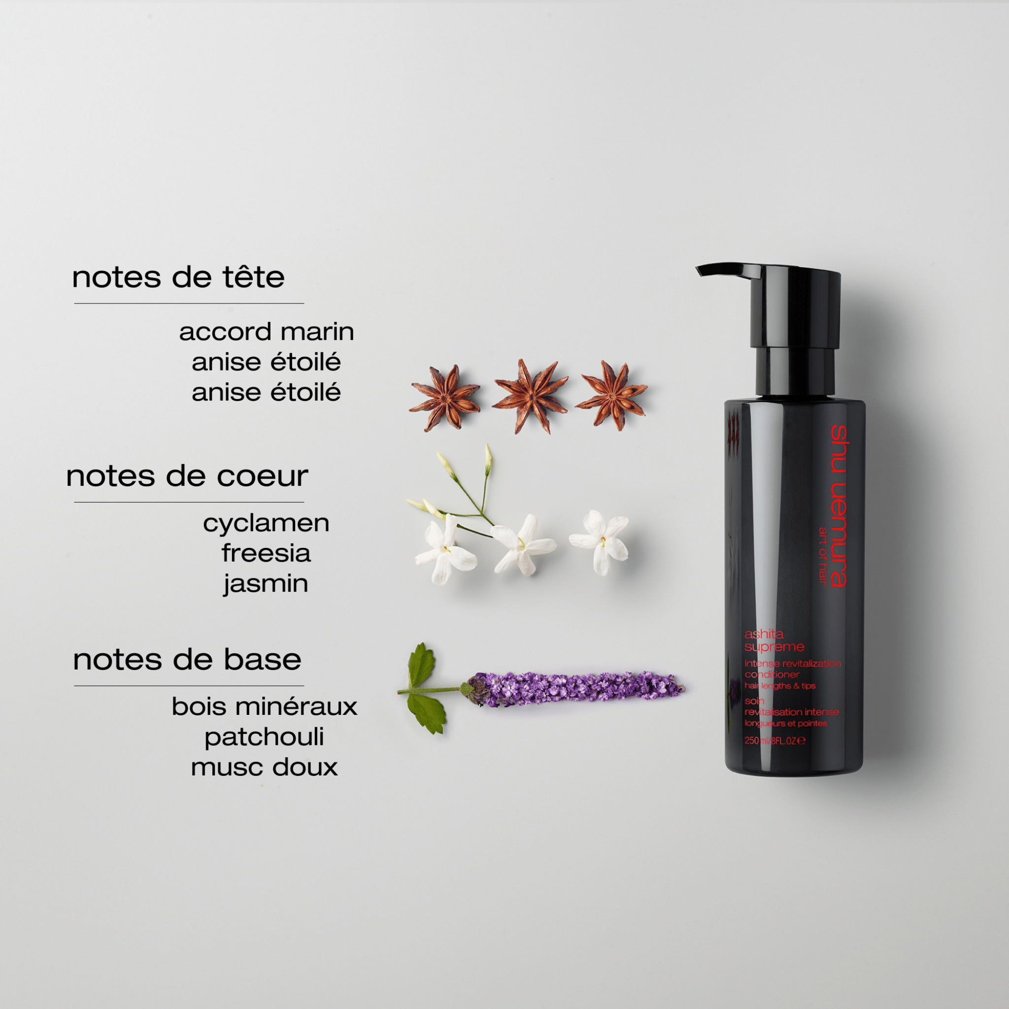Shu Uemura. Soin Revitalisant Intense Longueurs et Pointes Ashita Supreme - 250 ml (Nouvelle Formule) - Concept C. Shop