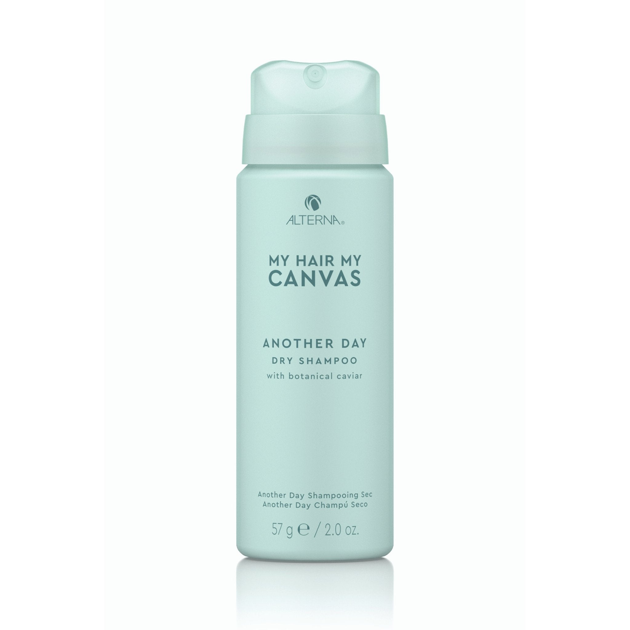 Alterna. My Hair My Canvas Shampoing Sec Another Day - 57 g - Concept C. Shop
