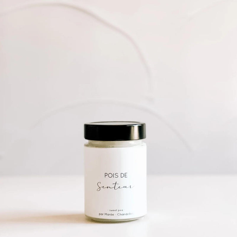 Maree. Chandelle de Soya Pois de Senteur - 314ml / 70h - Concept C. Shop