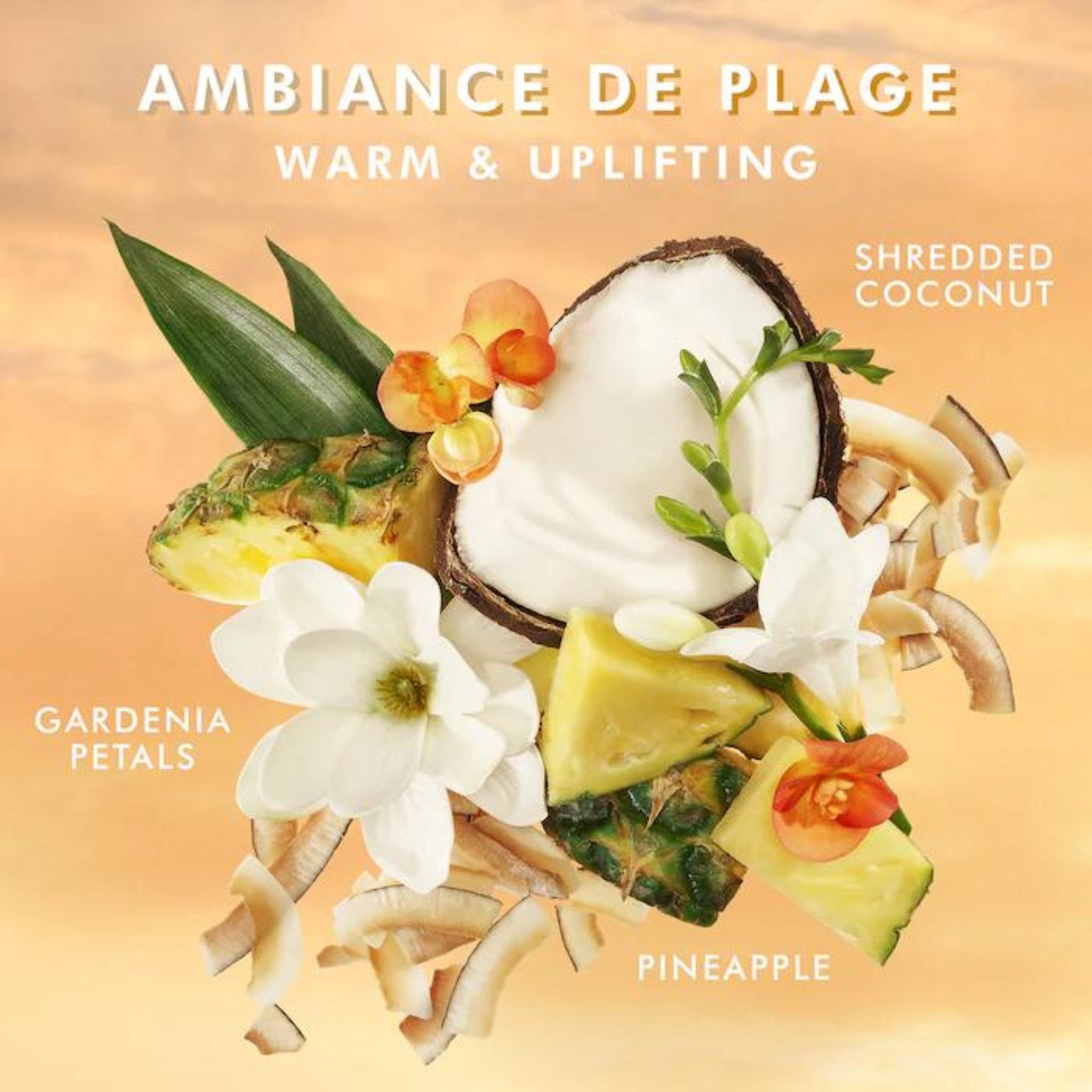 Moroccanoil. Gel Nettoyant pour les Mains Fragrance Ambiance de Plage - 360 ml - Concept C. Shop