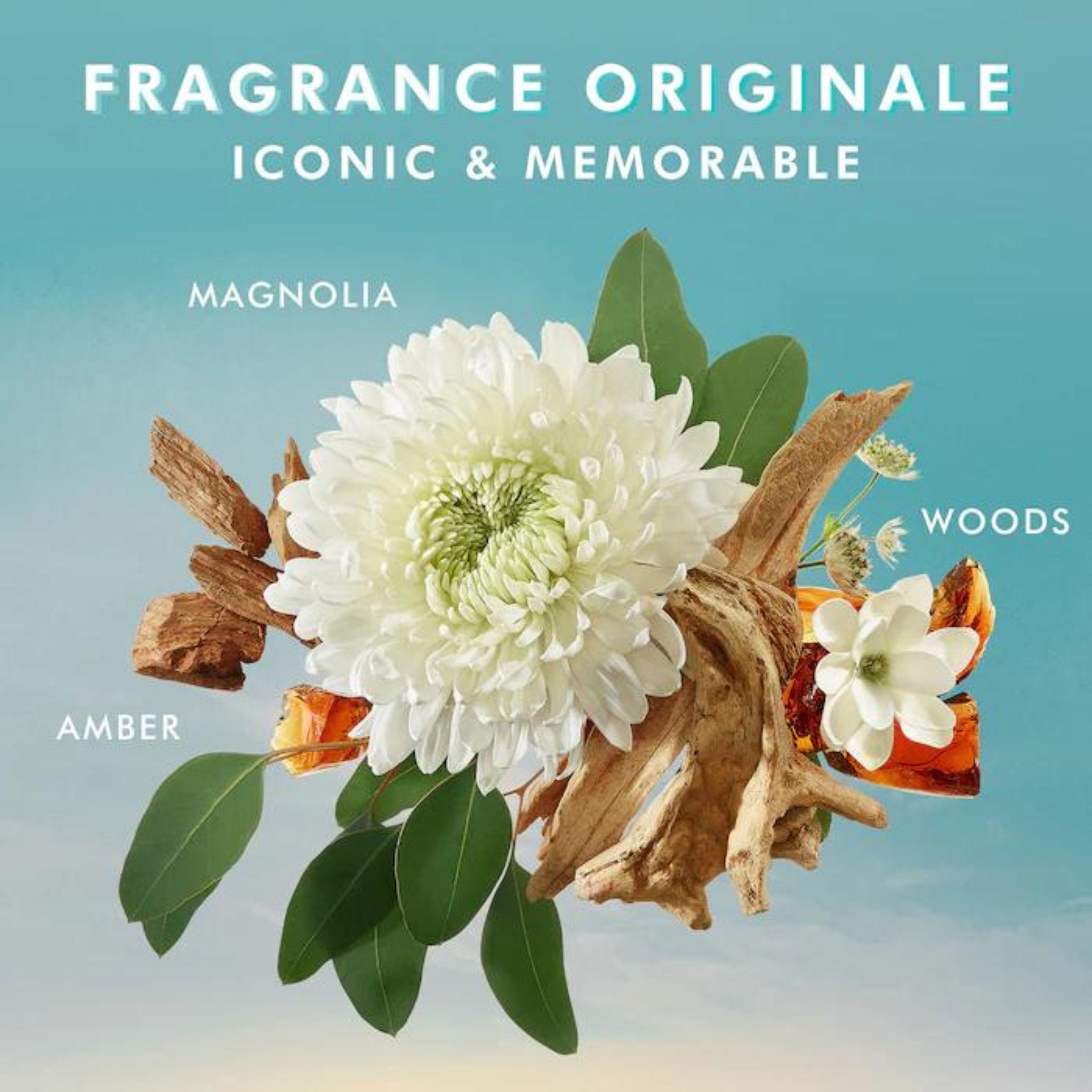 Moroccanoil. Gel Nettoyant pour les Mains Fragrance Originale - 360 ml - Concept C. Shop