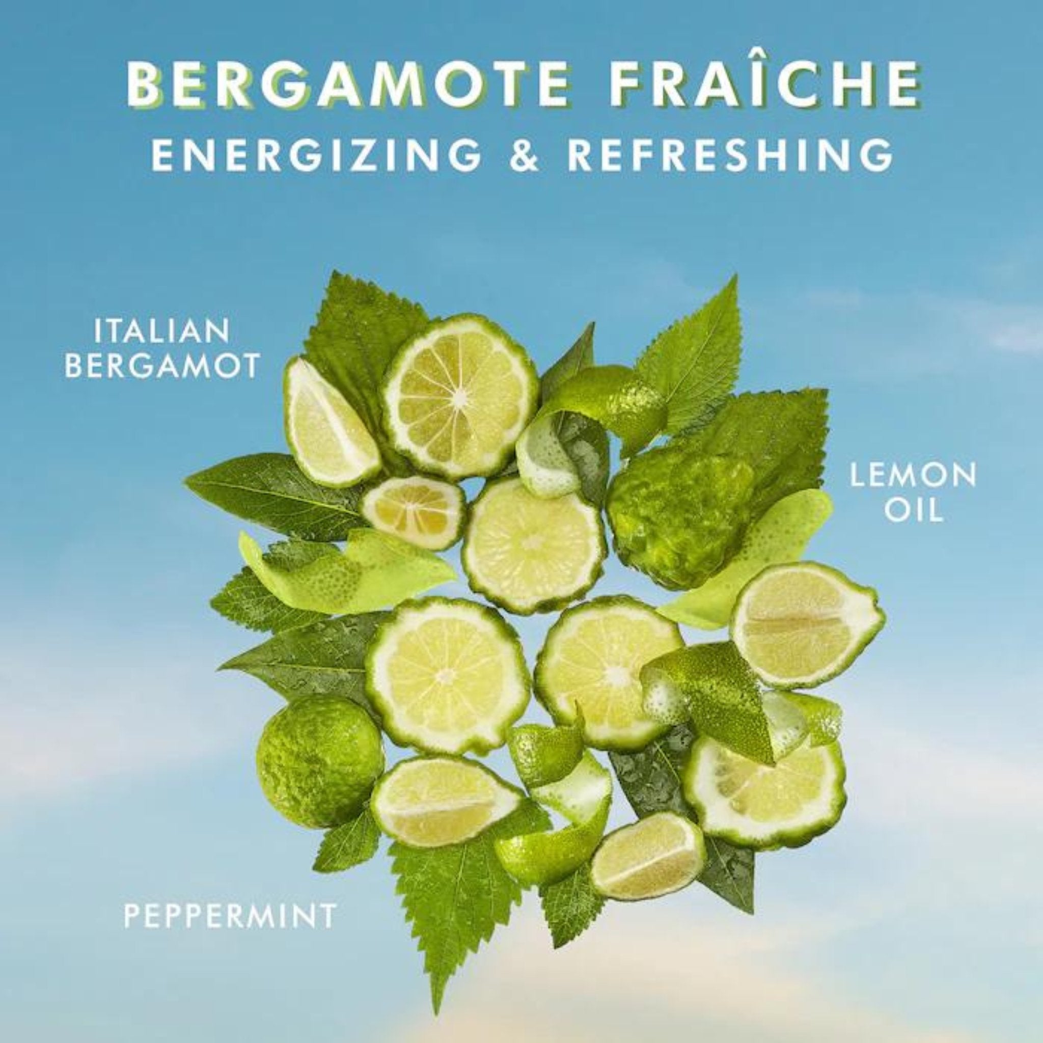 Moroccanoil. Lotion Pour le Corps Fragrance Bergamote Fraîche - 360 ml - Concept C. Shop