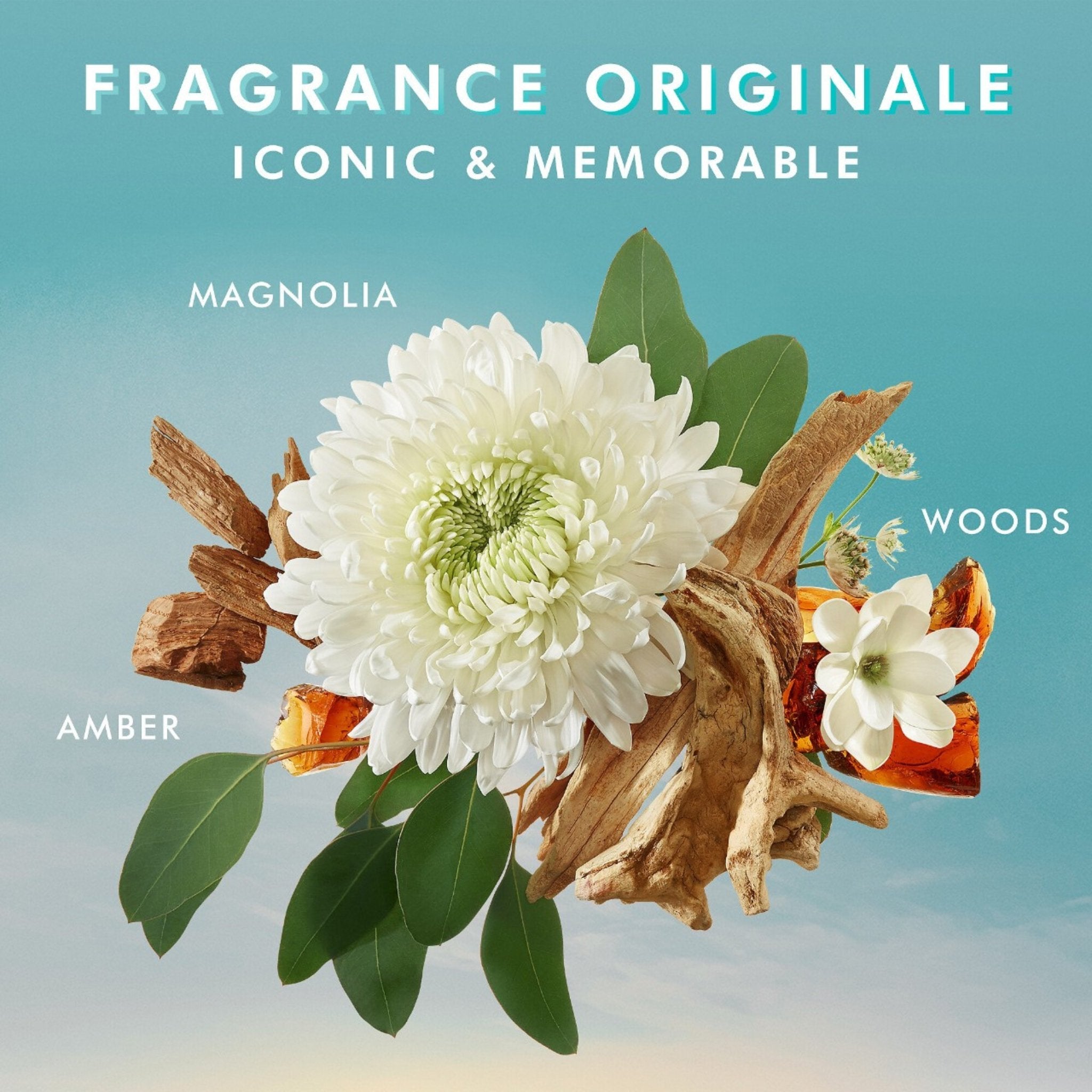 Moroccanoil. Souffle pour le Corps Fragrance Originale - 200 ml - Concept C. Shop