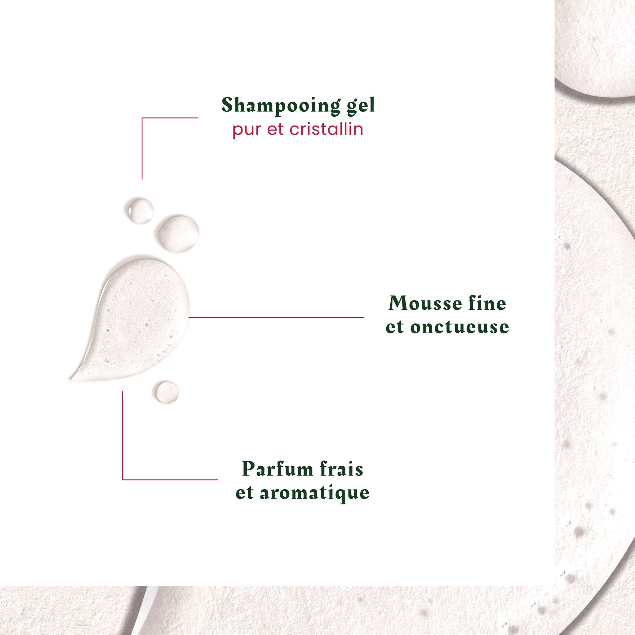 René Furterer. Neopur Shampoing Équilibrant Cuir Chevelu Gras - 250 ml - Concept C. Shop